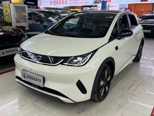 Фотография автомобиля — BYD Dolphin