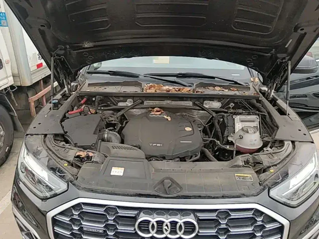 Audi Q5L — Фото автомобиля 19