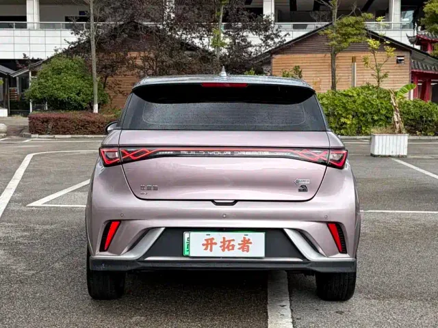 BYD Dolphin 2021 401km Knight Edition — Фото автомобиля 6