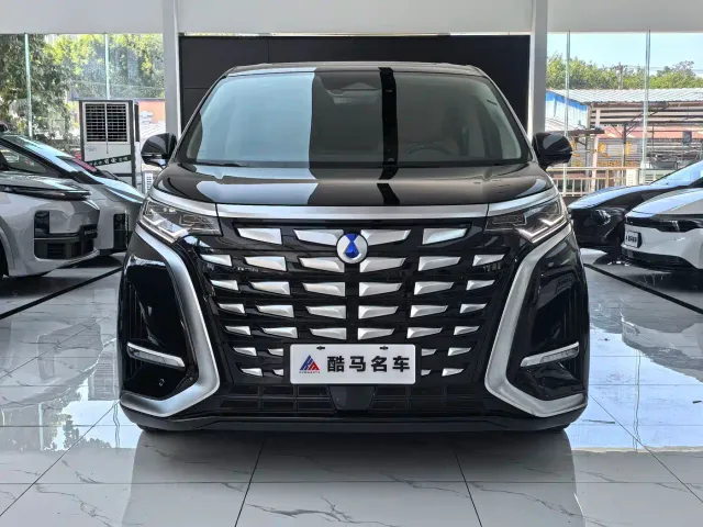 Denza D9 — Фото автомобиля 2