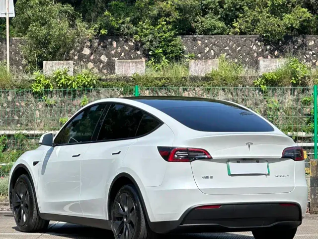 Tesla Model Y — Фото автомобиля 12