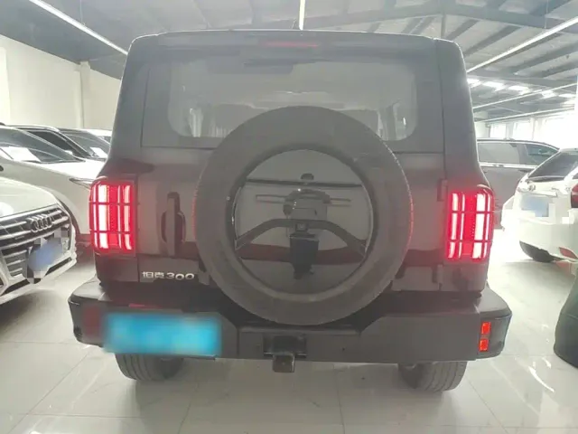 Tank 300 — Фото автомобиля 5