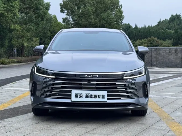 BYD Destroyer 05 — Фото автомобиля 2