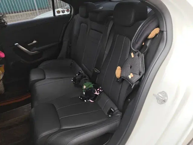 Mercedes-Benz A-Class — Фото автомобиля 18