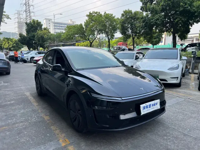 Tesla Model Y — Фото автомобиля 3