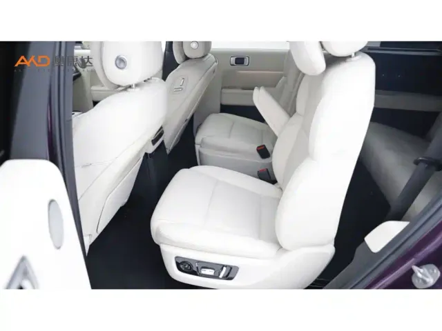 Li Auto L9 — Фото автомобиля 7