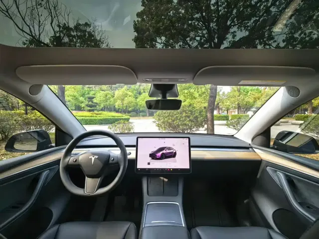 Tesla Model Y 2021 Standard Range Rear-Wheel Drive — Фото автомобиля 6