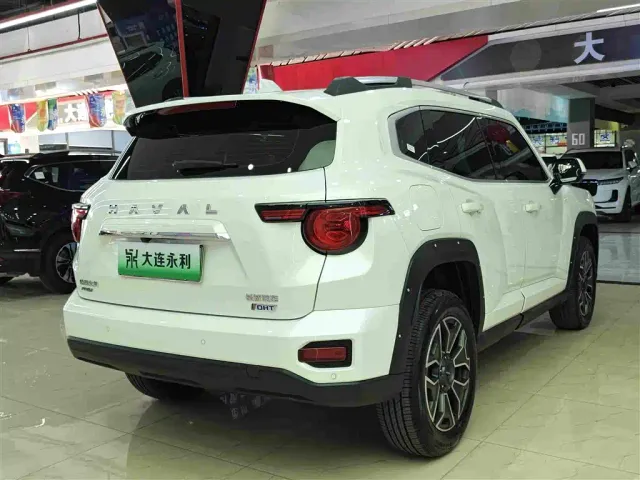 Haval Big Dog — Фото автомобиля 12