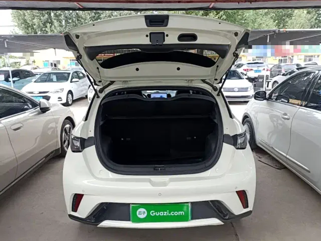 BYD Dolphin — Фото автомобиля 18