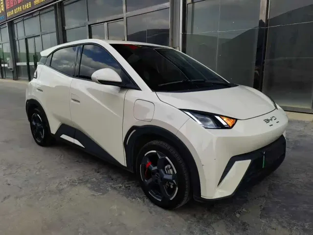 BYD Seagull — Фото автомобиля 3