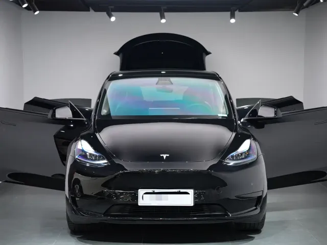 Tesla Model Y — Фото автомобиля 12
