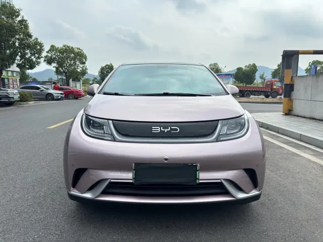 BYD Dolphin — Фото автомобиля 2