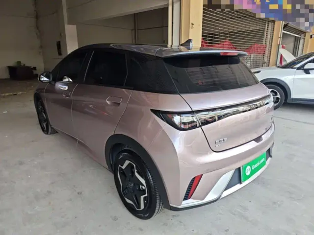 BYD Dolphin — Фото автомобиля 4