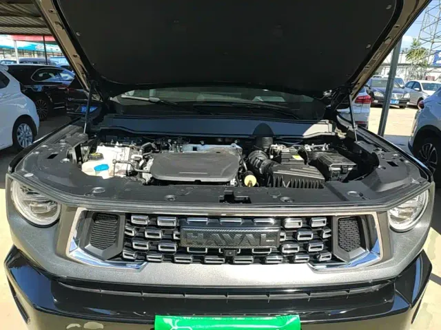 Haval Big Dog — Фото автомобиля 19