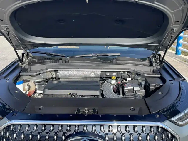 Chery Tiggo 8L — Фото автомобиля 23