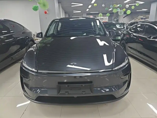 Tesla Model Y — Фото автомобиля 2