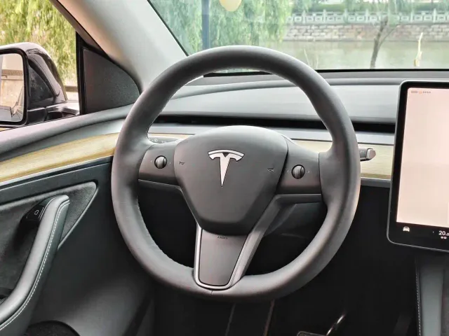 Tesla Model Y — Фото автомобиля 20