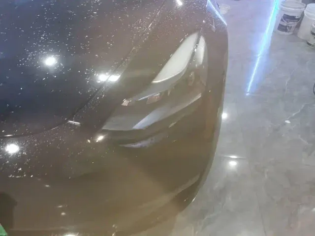 Tesla Model Y — Фото автомобиля 17