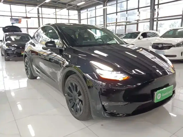 Tesla Model Y — Фото автомобиля 3