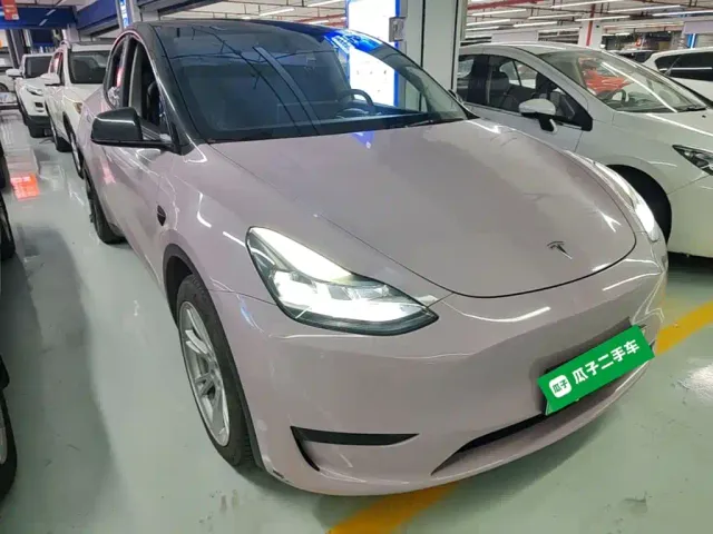 Tesla Model Y — Фото автомобиля 3