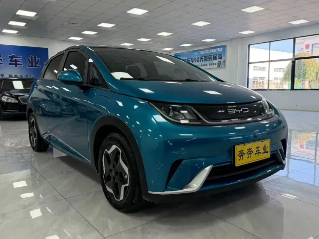 BYD Dolphin — Фото автомобиля 2