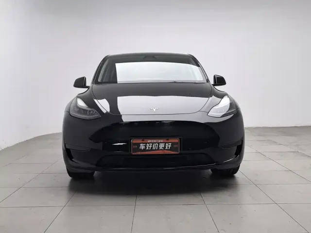 Tesla Model Y — Фото автомобиля 3