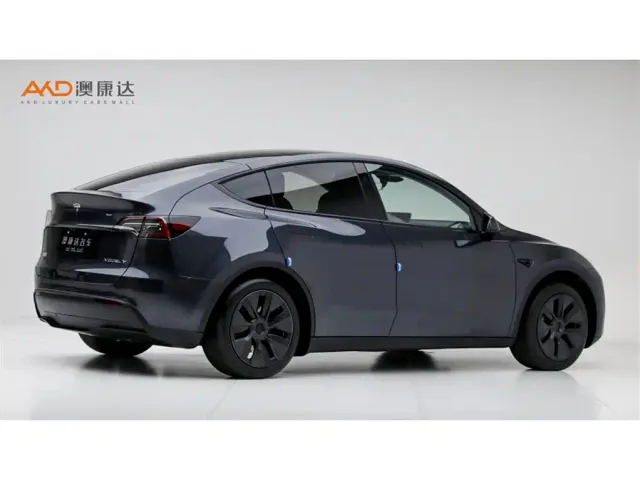 Tesla Model Y — Фото автомобиля 3