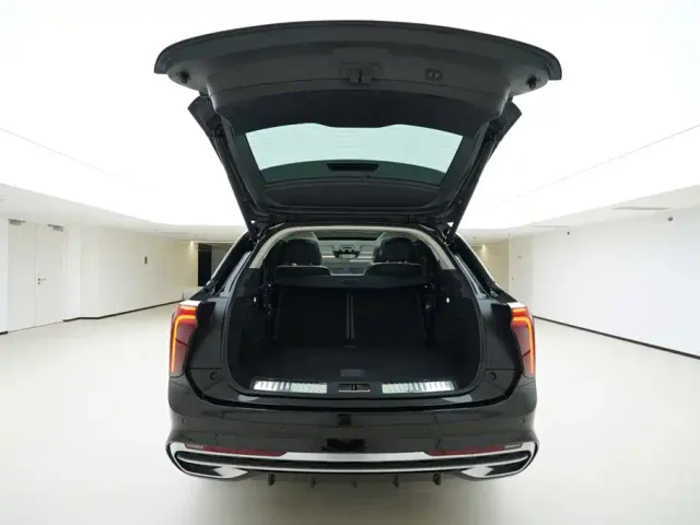 Hongqi E-HS9 — Фото автомобиля 6