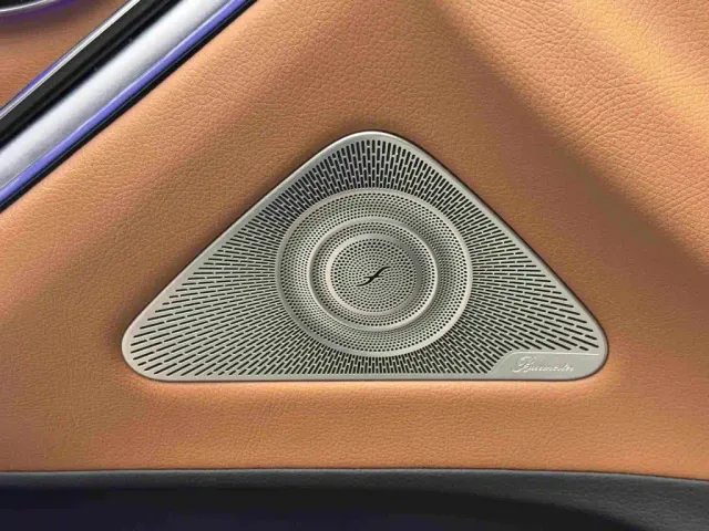 Mercedes-Benz S-Class — Фото автомобиля 19
