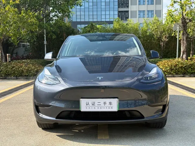 Tesla Model Y — Фото автомобиля 2
