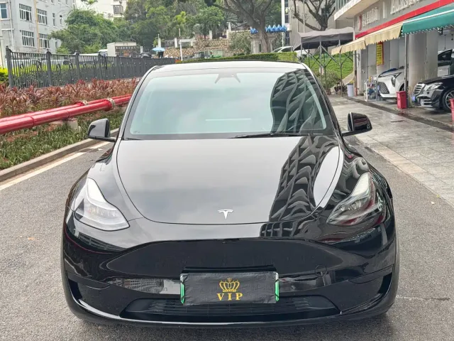 Tesla Model Y — Фото автомобиля 2