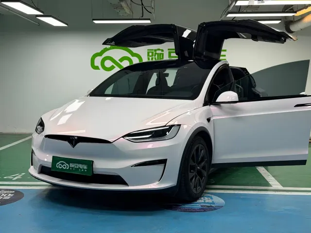 Tesla Model X — Фото автомобиля 19