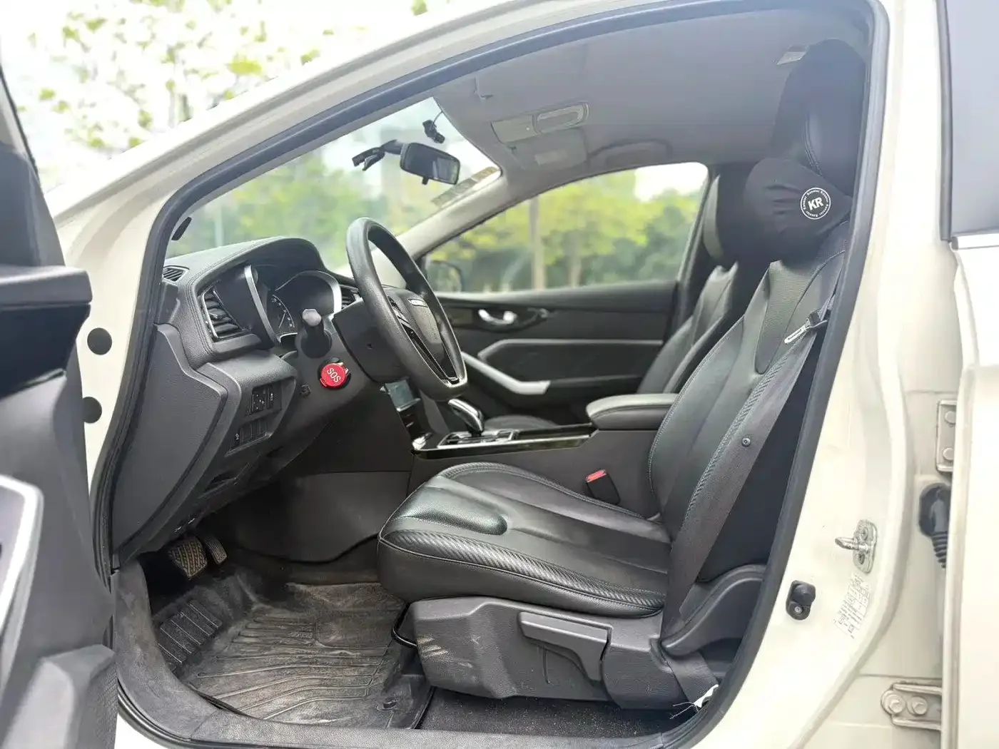 Venucia Venucia D60EV 2020 Standard Range Premium Edition — Фото автомобиля 6