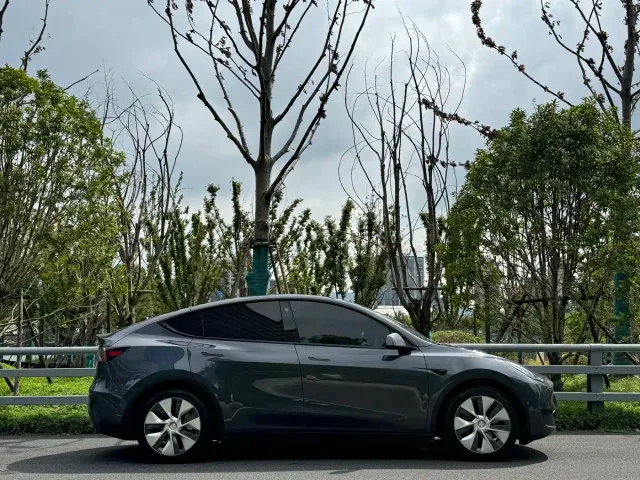 Tesla Model Y — Фото автомобиля 4