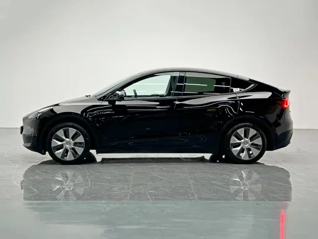 Tesla Model Y — Фото автомобиля 3
