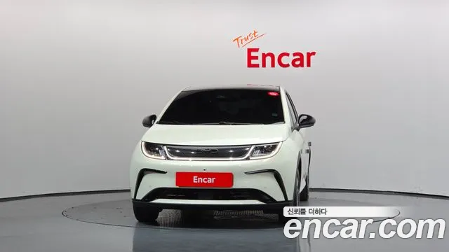 BYD Dolphin — Фото автомобиля 3