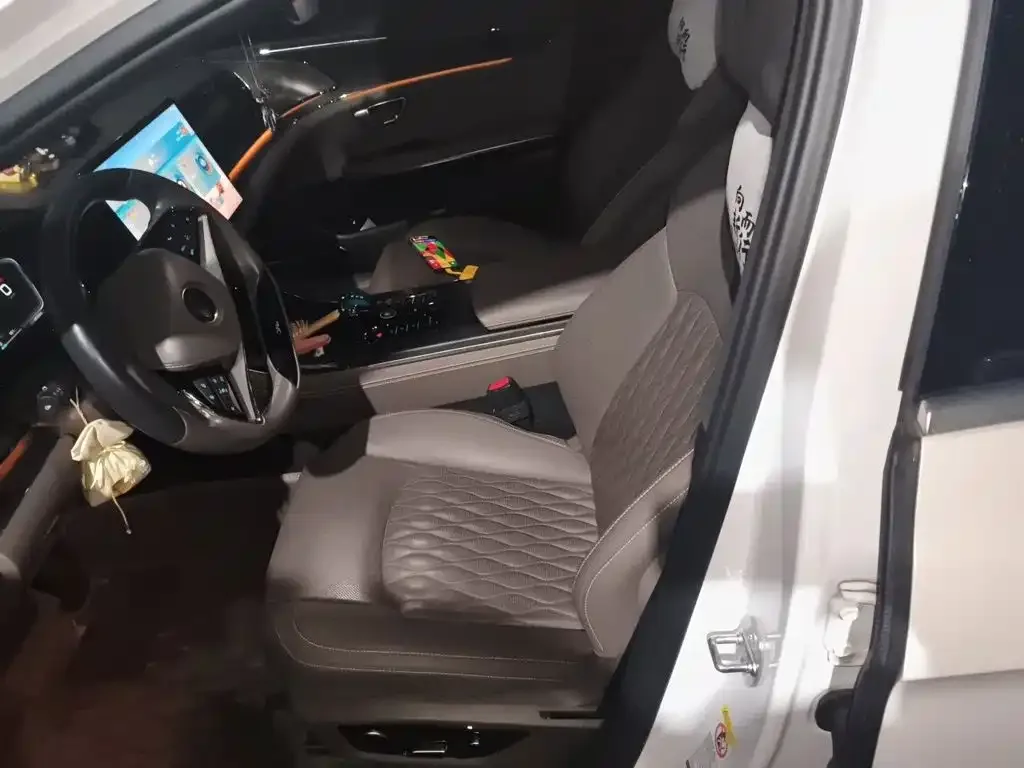 BYD Han 2020 DM AWD Performance Premium — Фото автомобиля 11