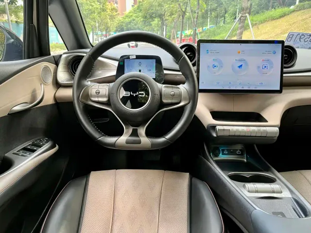 BYD Dolphin — Фото автомобиля 8