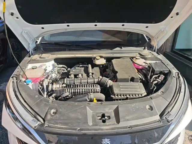 BYD Qin L — Фото автомобиля 19