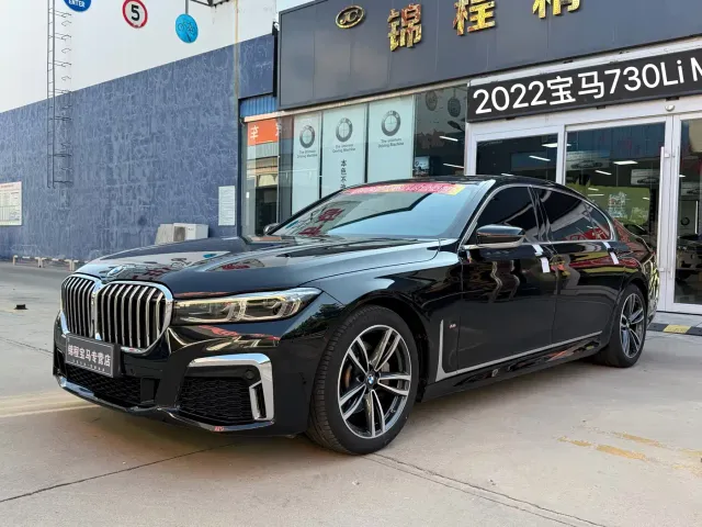 BMW 7 Series — Фото автомобиля 2