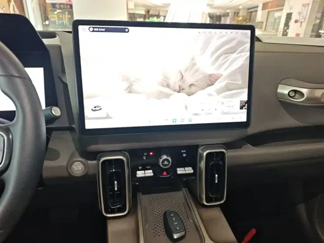 Haval Big Dog — Фото автомобиля 12