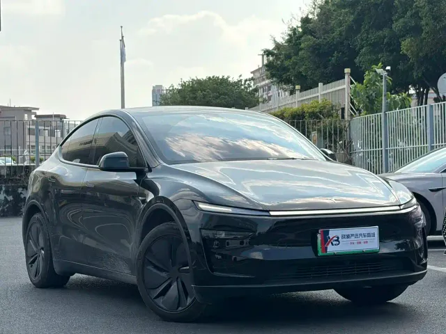Tesla Model Y — Фото автомобиля 3