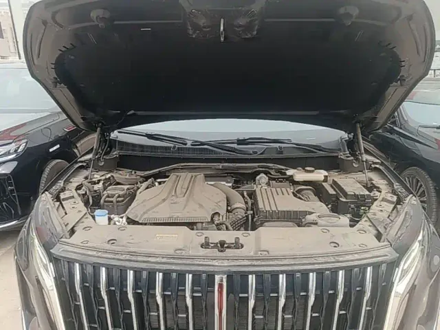 Hongqi HS7 PHEV — Фото автомобиля 19