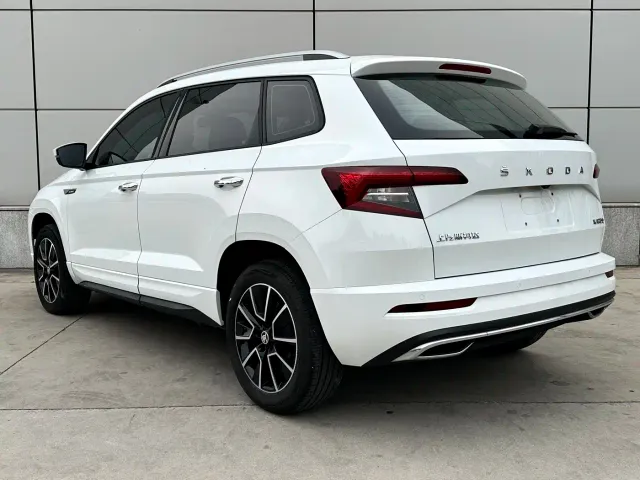 Skoda Karoq — Фото автомобиля 6