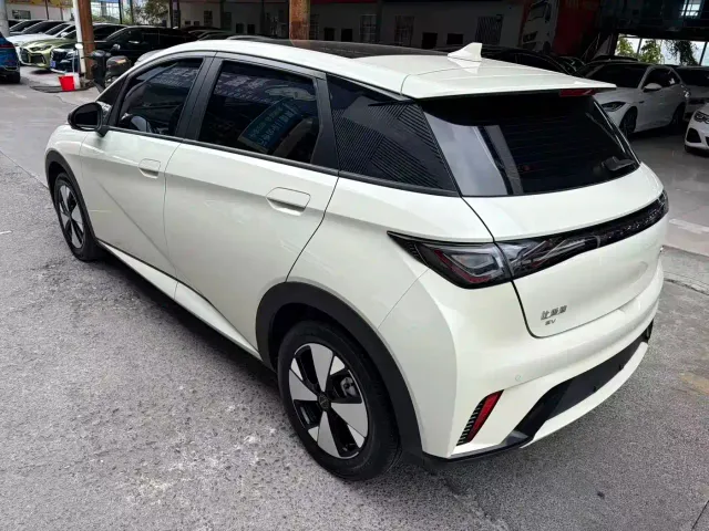 BYD Dolphin — Фото автомобиля 13