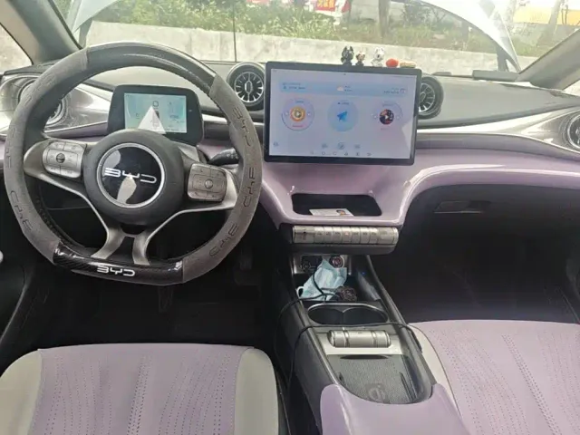 BYD Dolphin — Фото автомобиля 9