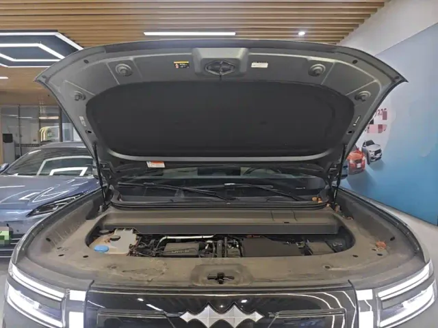 BYD FangChengBao Titanium 7 — Фото автомобиля 19