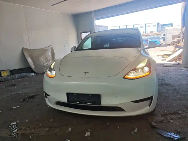Tesla Model Y — Фото автомобиля 2
