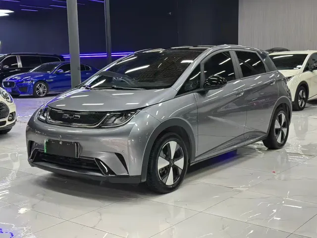 BYD Dolphin — Фото автомобиля 2