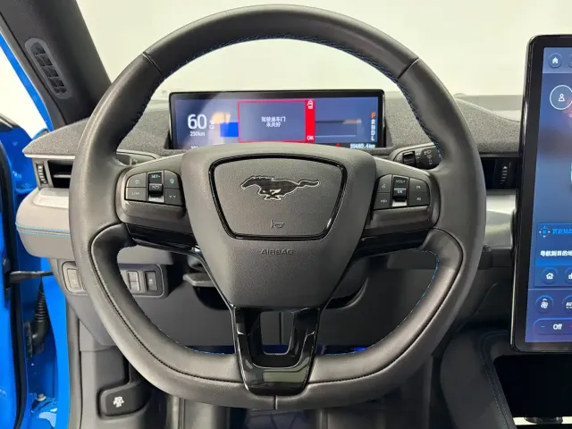 Ford Mustang Mach-E — Фото автомобиля 11